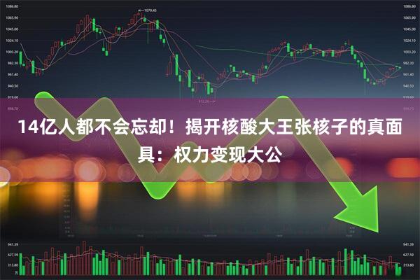 14亿人都不会忘却！揭开核酸大王张核子的真面具：权力变现大公