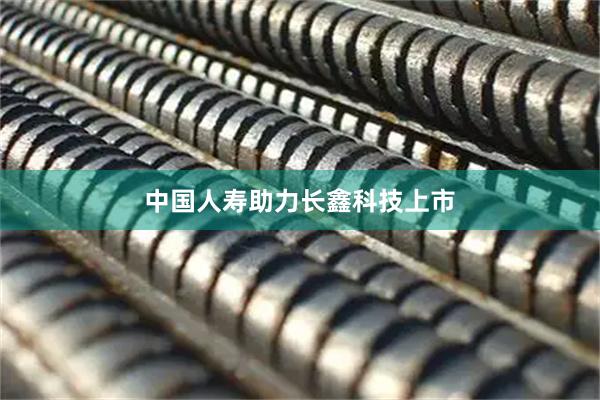 中国人寿助力长鑫科技上市